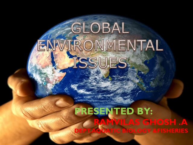 Human impact on the environment | PPT