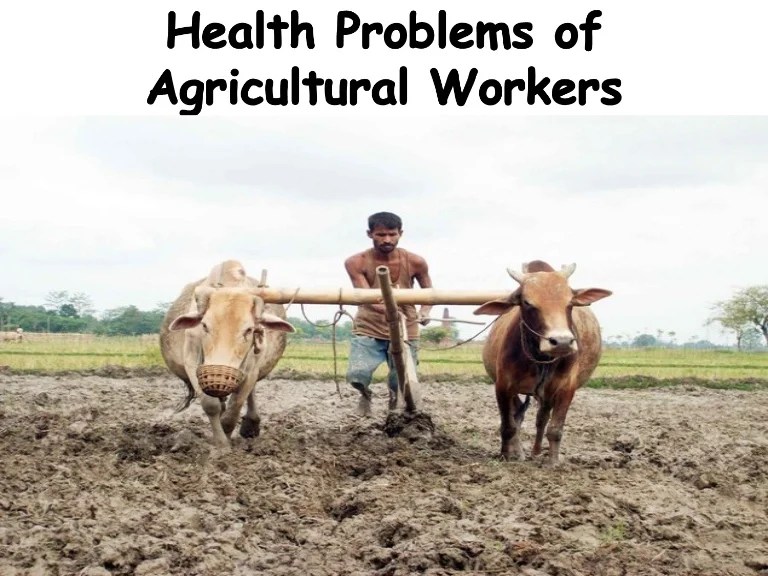 Health problems of agricultural workers