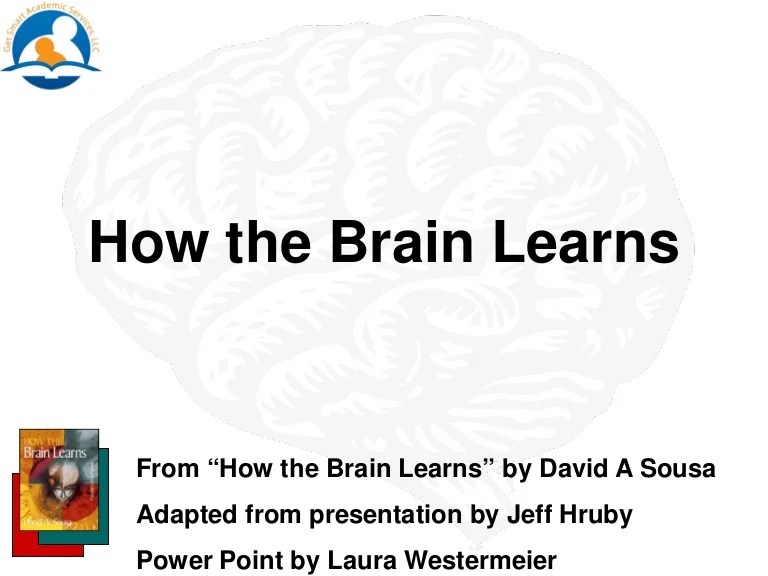 How the brain_learns