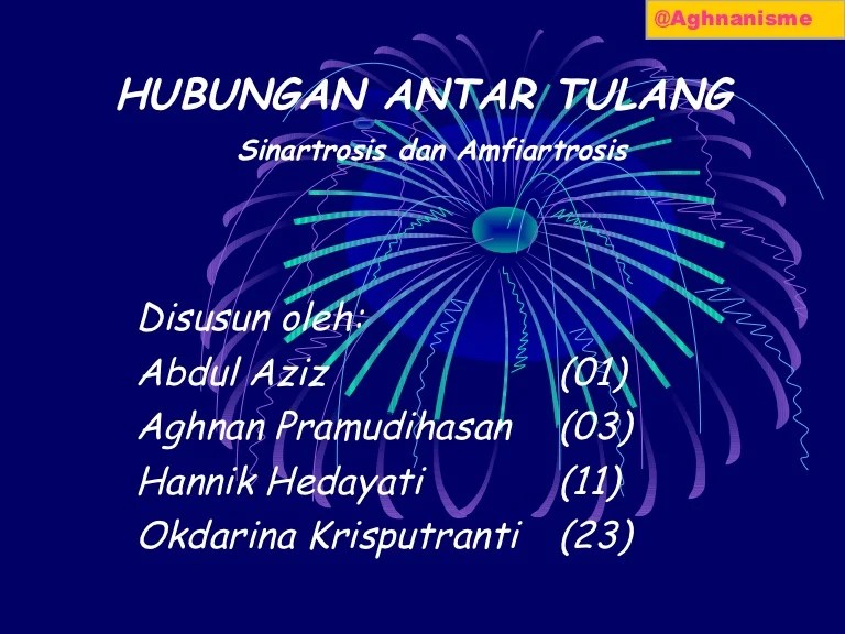 Hubungan antar Tulang