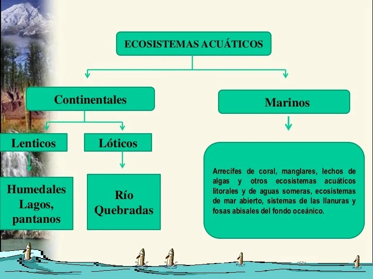 Humedales
