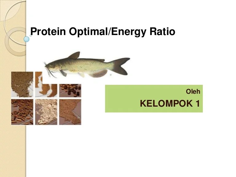 Kebutuhan energi 2