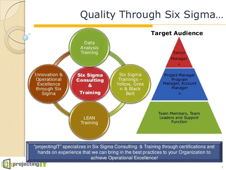 LEAN Six Sigma Training Course by projectingIT