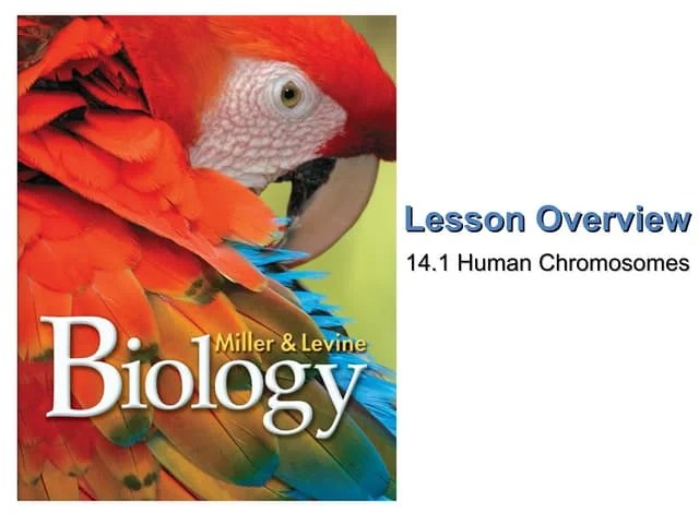Chapter14worksheets | PDF