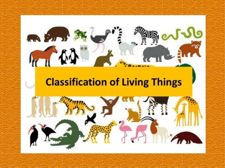 Living things classification