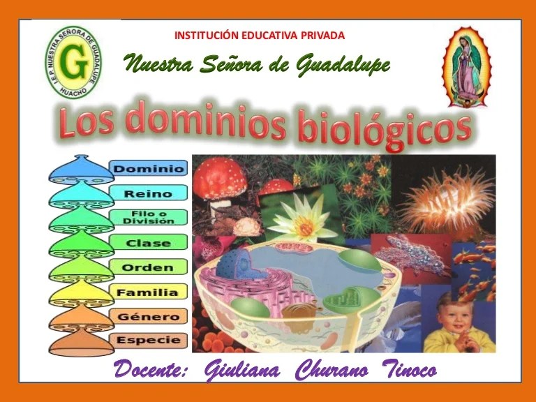 Los dominios biológicos