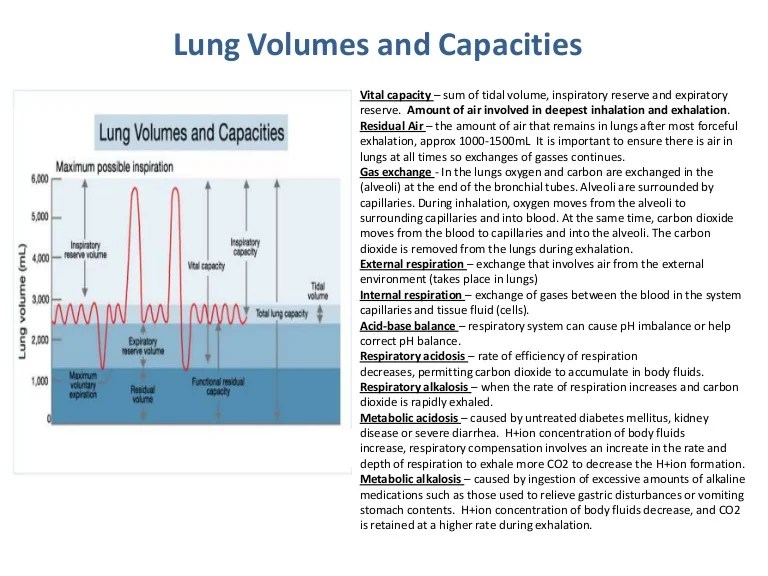 Lung volume and capacity