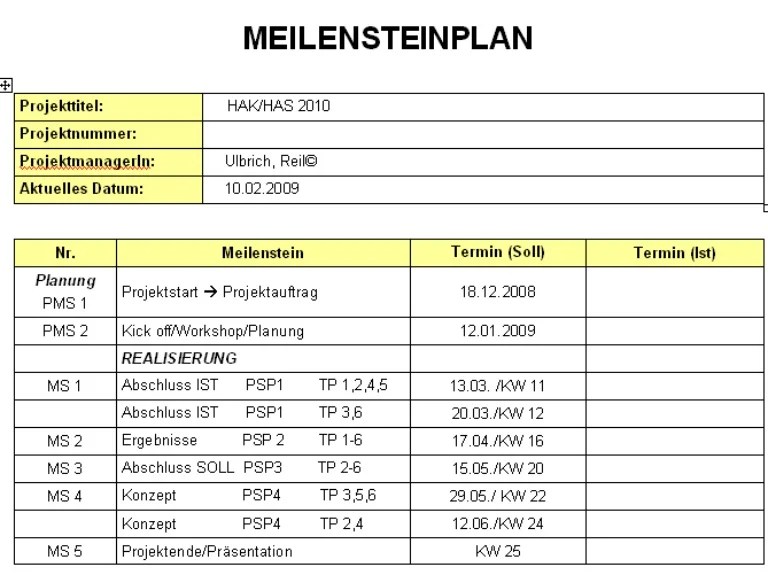 Meilensteinplan