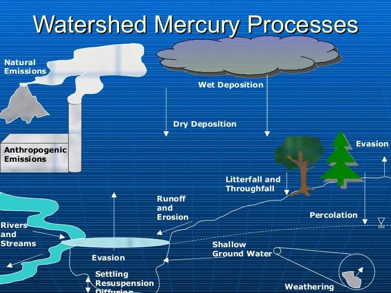Mercury Processes