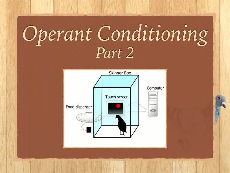 Operant Conditioning Part 2
