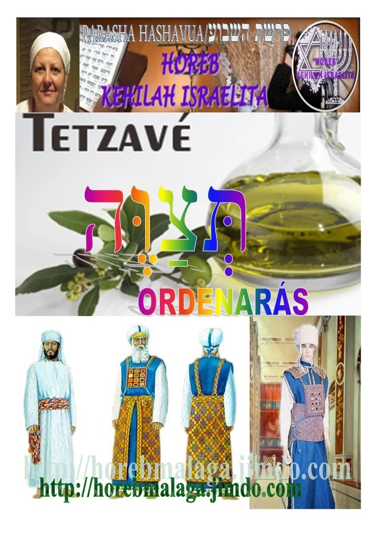 Parasha de la semana nýý 20
