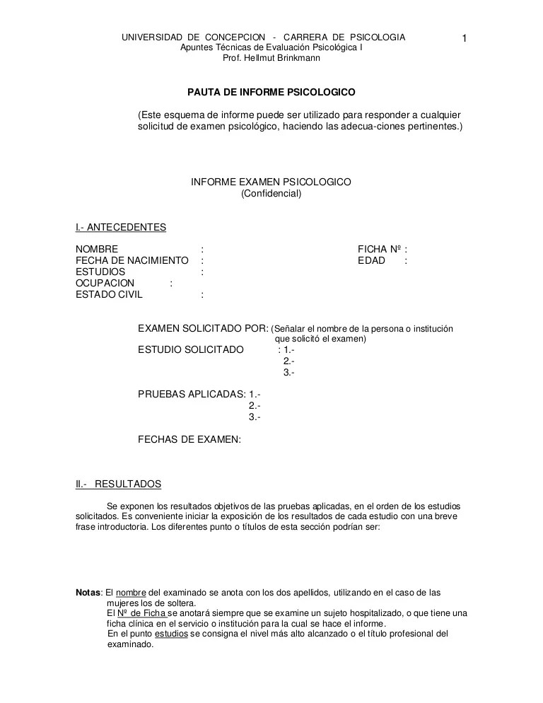 Pautas y ejemplos_de_informe