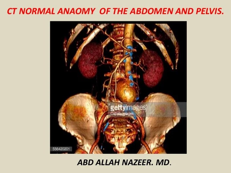 Presentation1.pptx, ct normal anatomy of the abdomen and