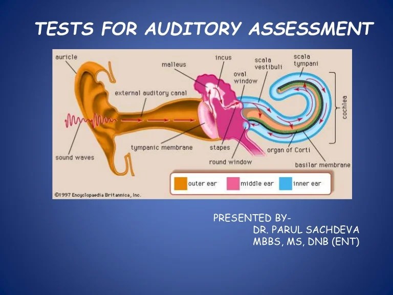 TESTS FOR AUDITORY ASSESSMENT