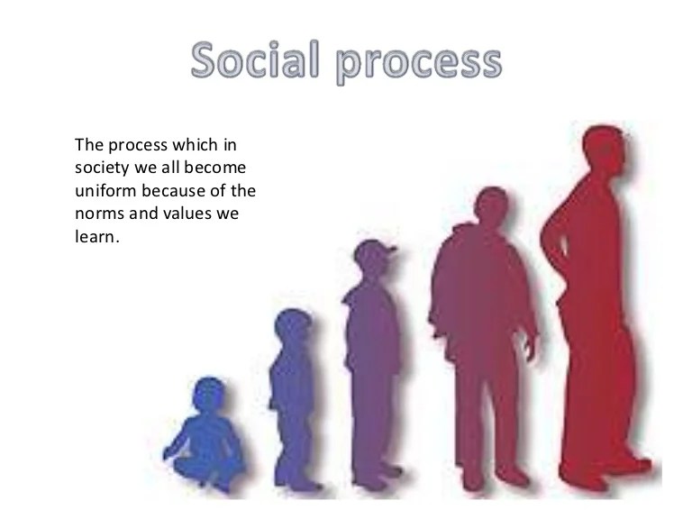 Primary socialisation
