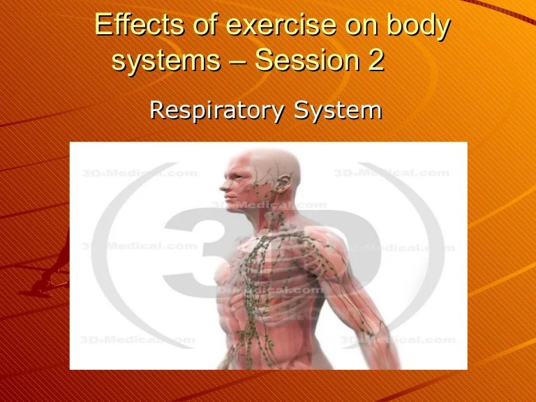 Respiratory effects of exercise