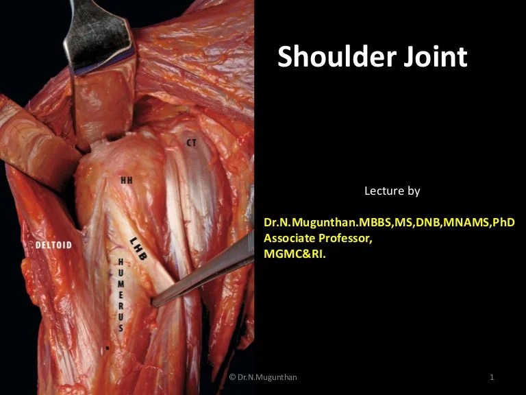 Shoulder Joint pdf lecture notes Dr.N.Mugunthan.M.S
