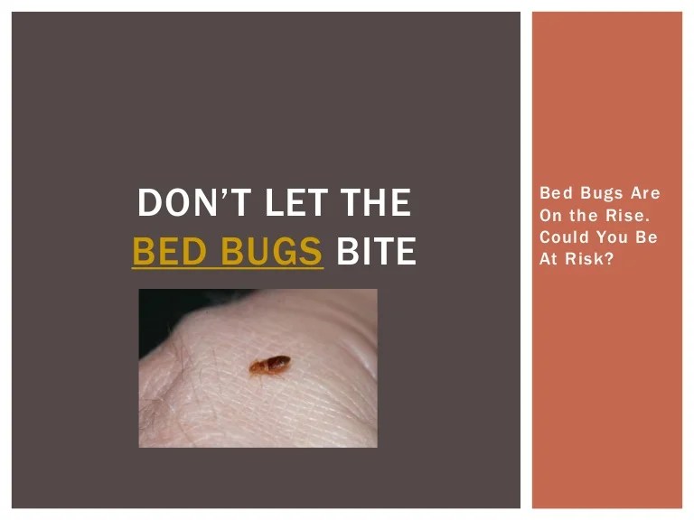 Don’t Let the Bed Bugs Bite Bed Bugs Are On the Rise. Could You Be