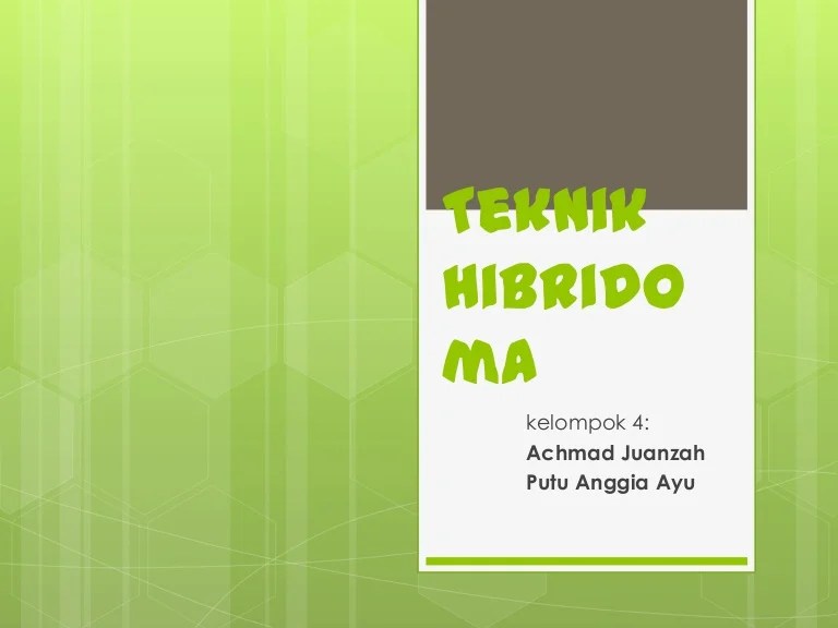 Teknik hibridoma