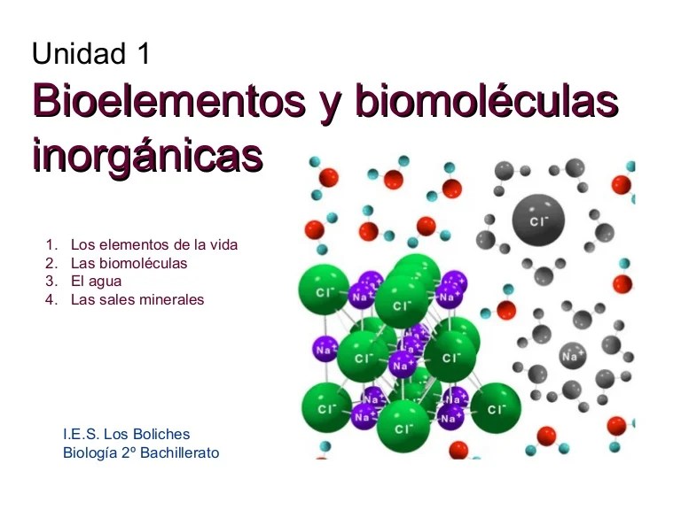 Bioelementos y biomoléculas