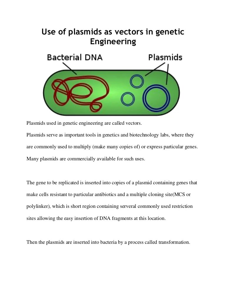 Use of plasmids as vectors in Engineering