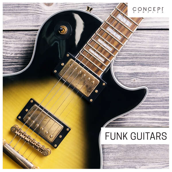 Sounds & Samples from Audio Masters Funk Guitars