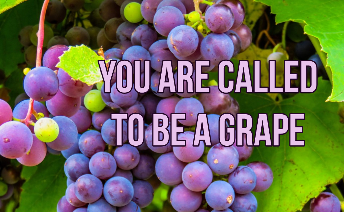 When Life Gives You Grapes Make Wine SloWine