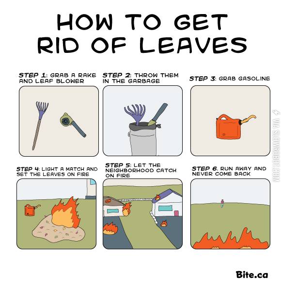 How to get rid of leaves.