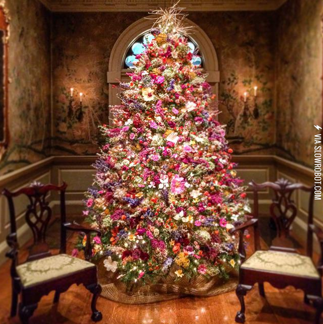 A Christmas tree made only of dried flowers