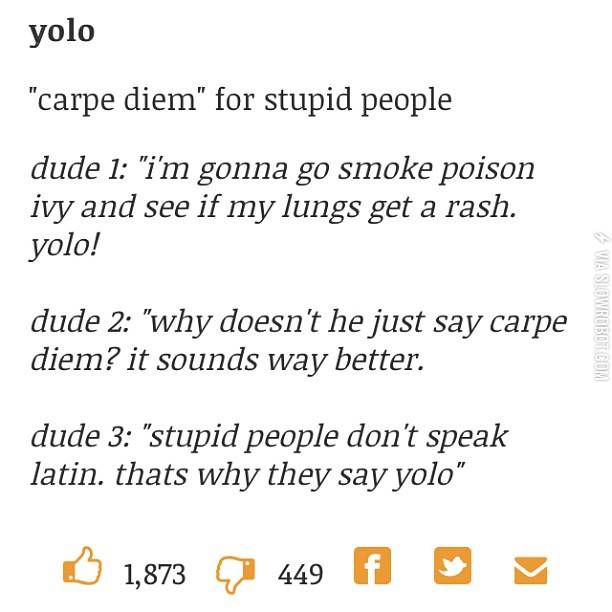 YOLO Carpe Diem for stupid people