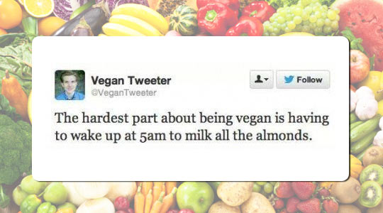 Hardest Part Of Being A Vegan