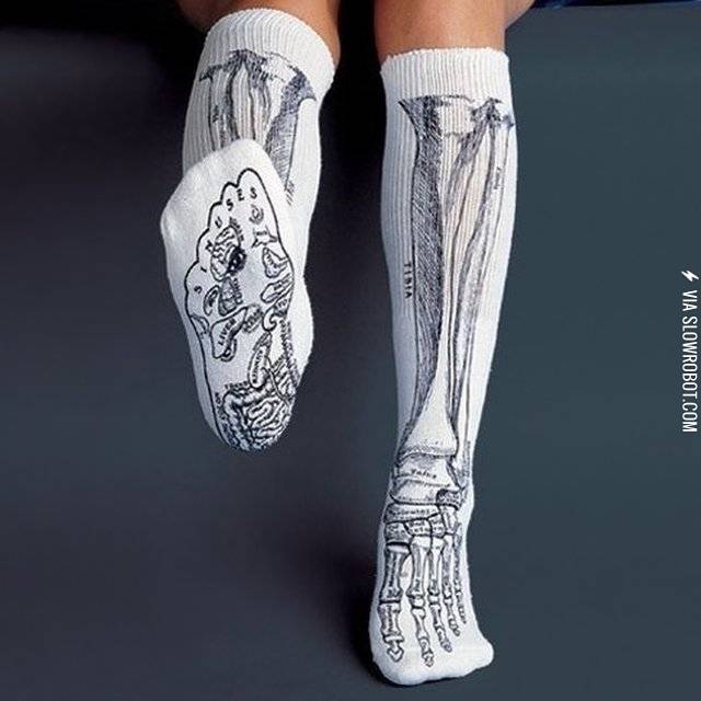 The leg bone's connected to the foot bone...