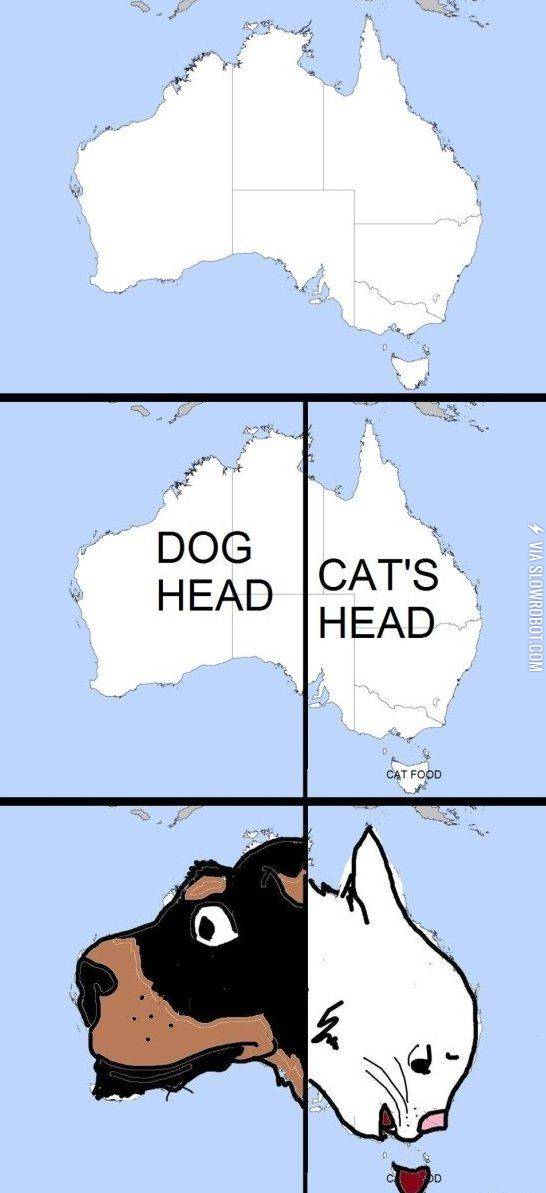 Dog/Cat face in Australia