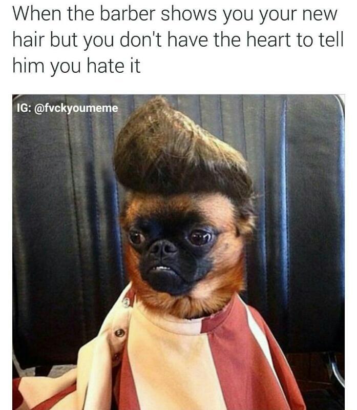 When you don't have the heart to tell your barber you hate your haircut