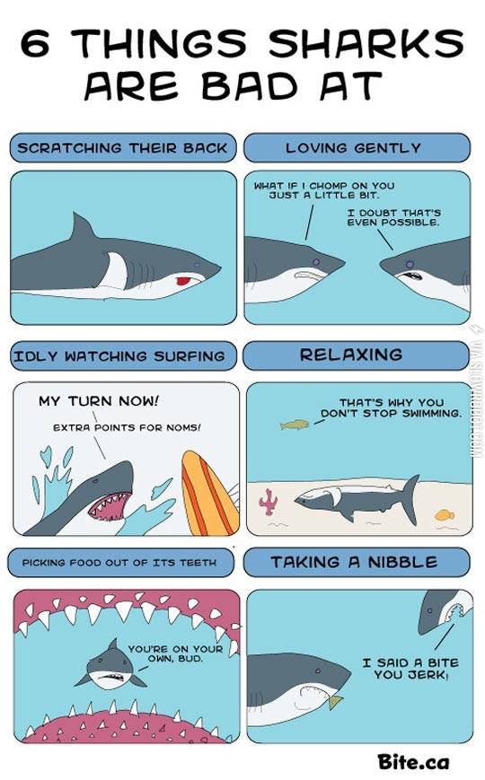 Things sharks are bad at.