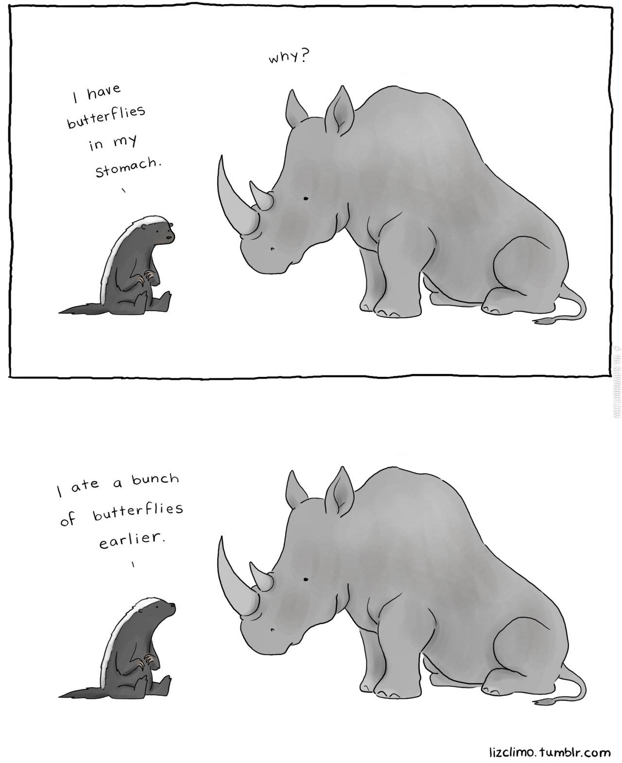 I have butterflies in my stomach...