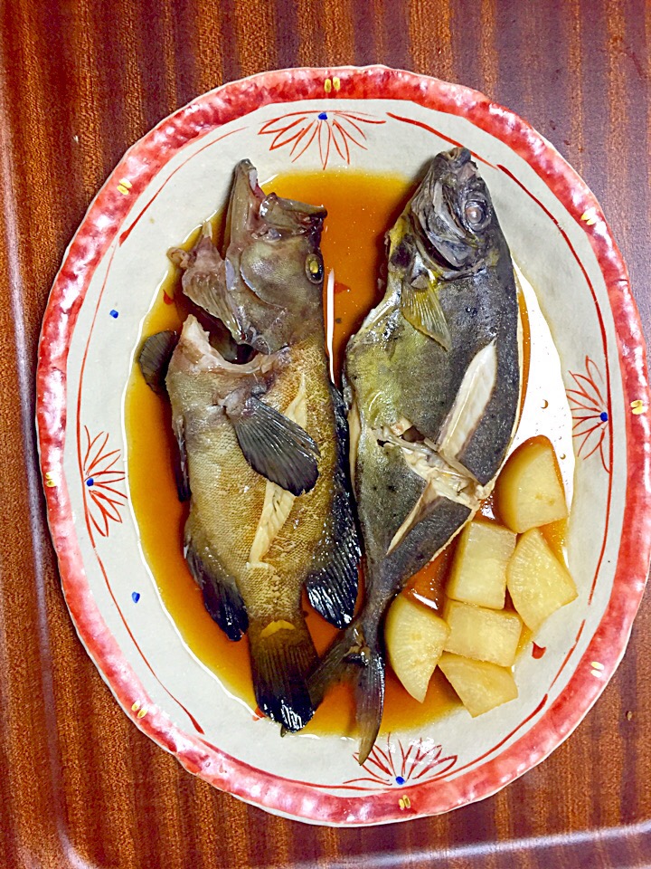 「アイゴ」とは？トゲに毒を持つ魚ながら瀬戸内地域では高級魚！ macaroni