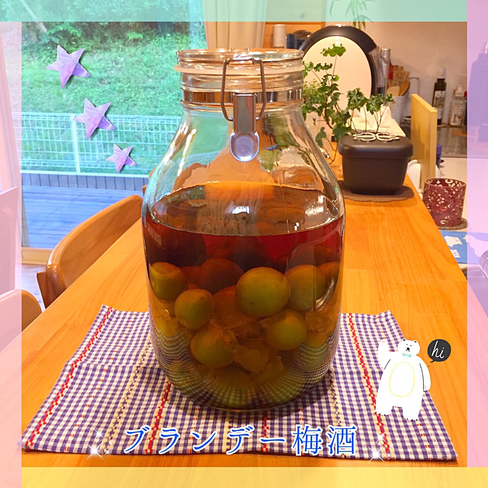 コクと風味がたまらない！ブランデー梅酒の作り方とパック商品5選 macaroni