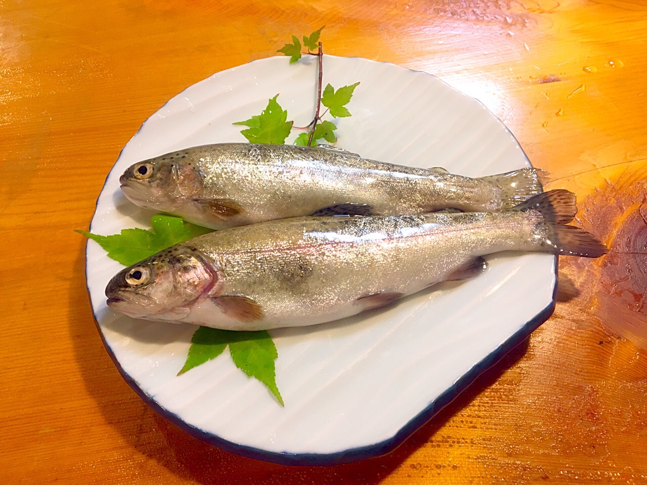 人気の川魚「ニジマス」の特徴。おいしい食べ方におすすめレシピまで macaroni