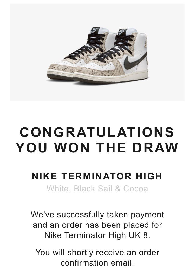 ナイキ ターミネーター ハイ "ココアスネーク"のサイズ感/履き心地/コーデ/評価(評判)のレビュー｜2年ぶりに END...byかつみん