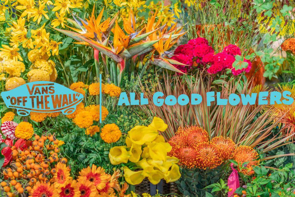 10/16発売｜ALL GOOD FLOWERS × Vans collection｜抽選/販売/定価情報 スニーカーダンク