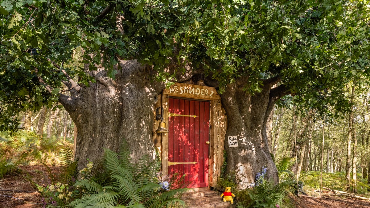 Winnie the Pooh's Forest House for Rent SoGoodly