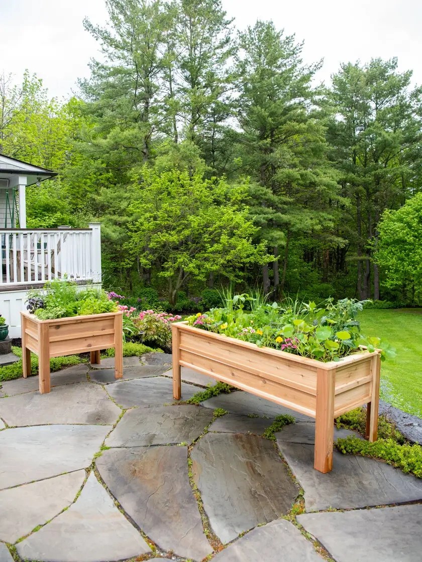 Craftsbury Elevated Raised Beds Authorized store