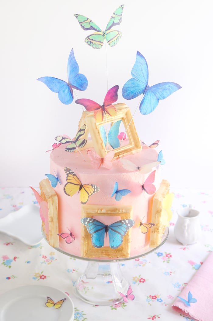 Butterfly Cake Sprinkle Bakes