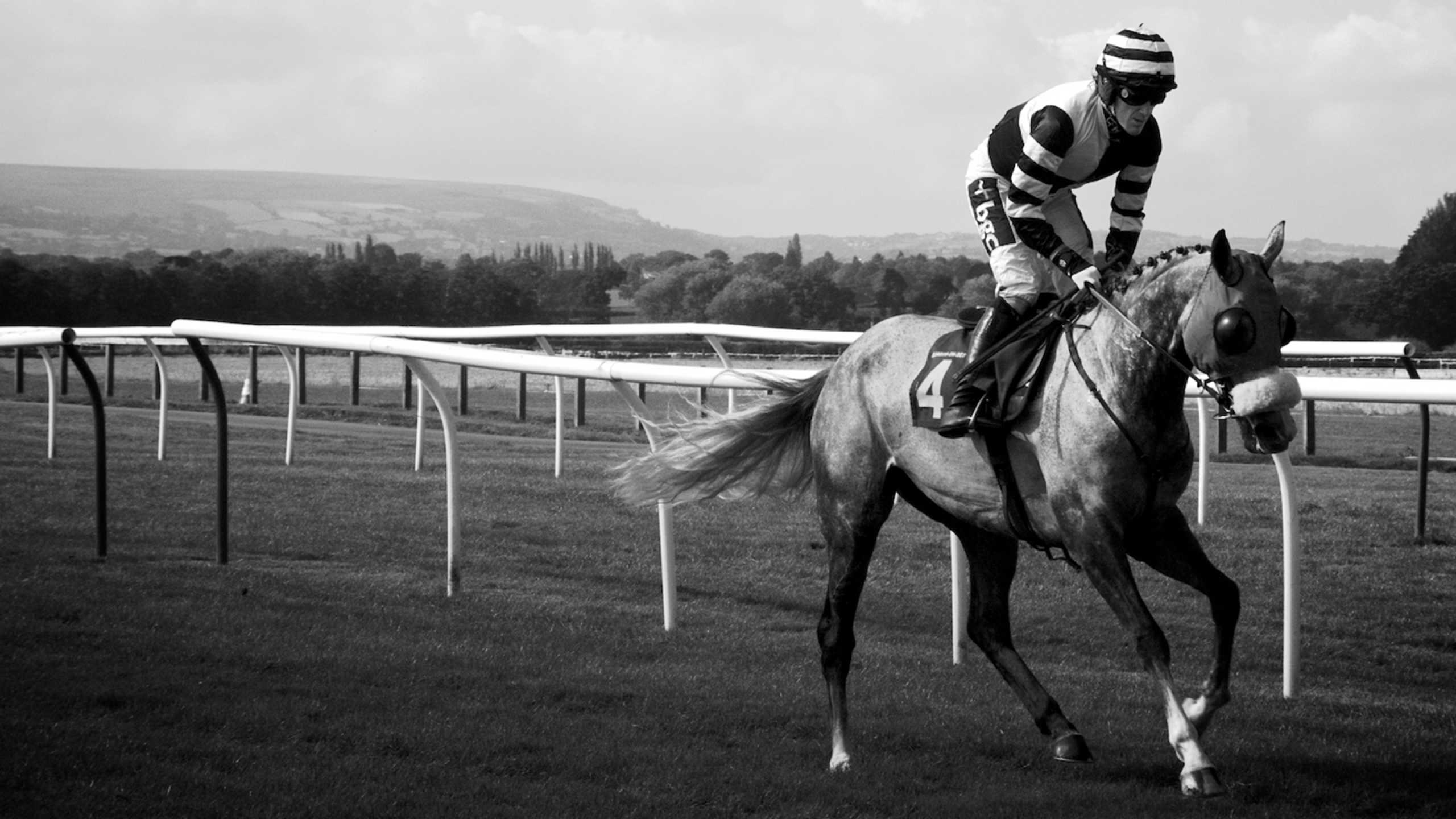 Horse play Newmarket flat racing guide Square Mile