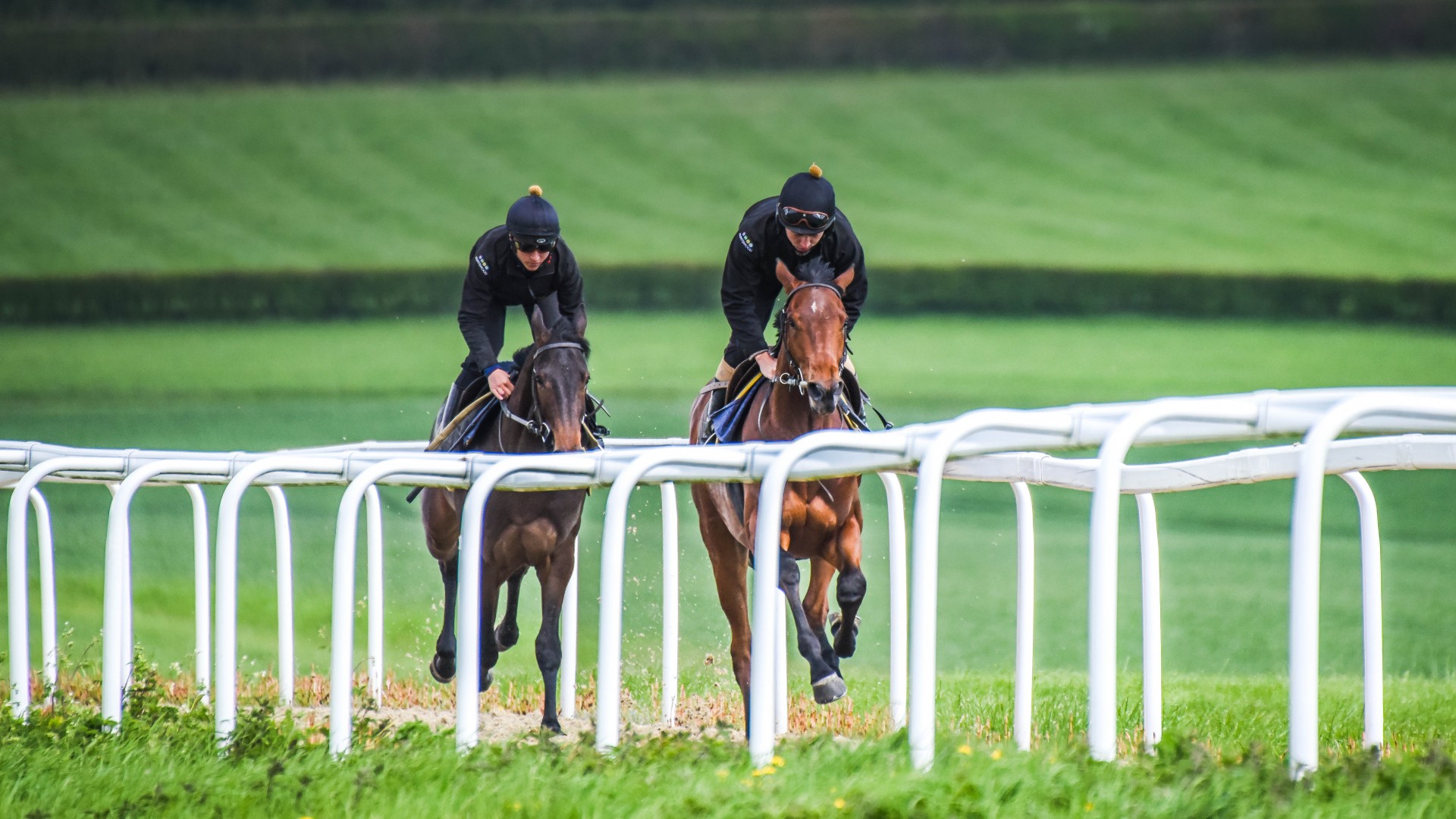 How to train a racehorse Square Mile