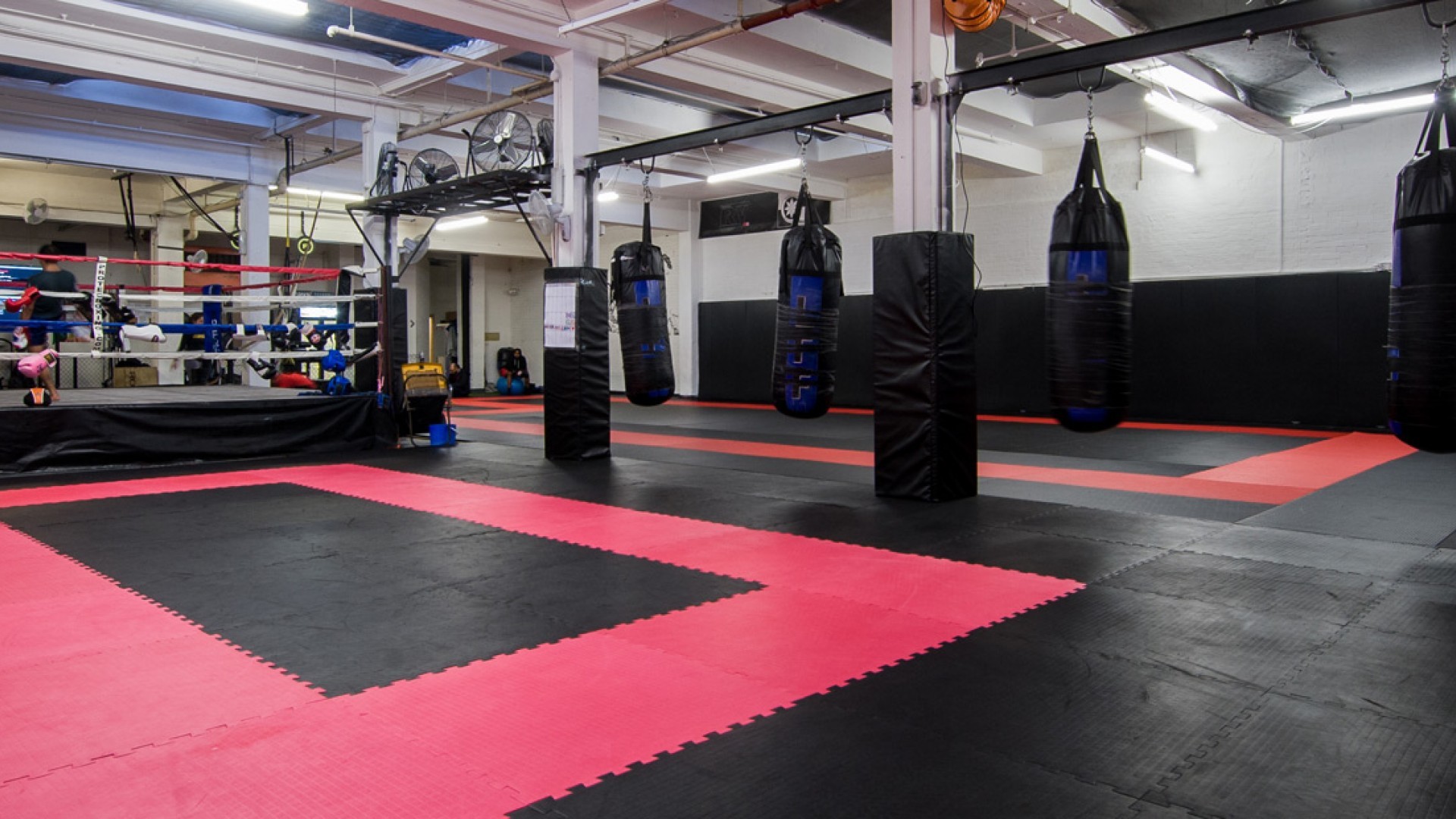 12 best MMA gyms in London Square Mile