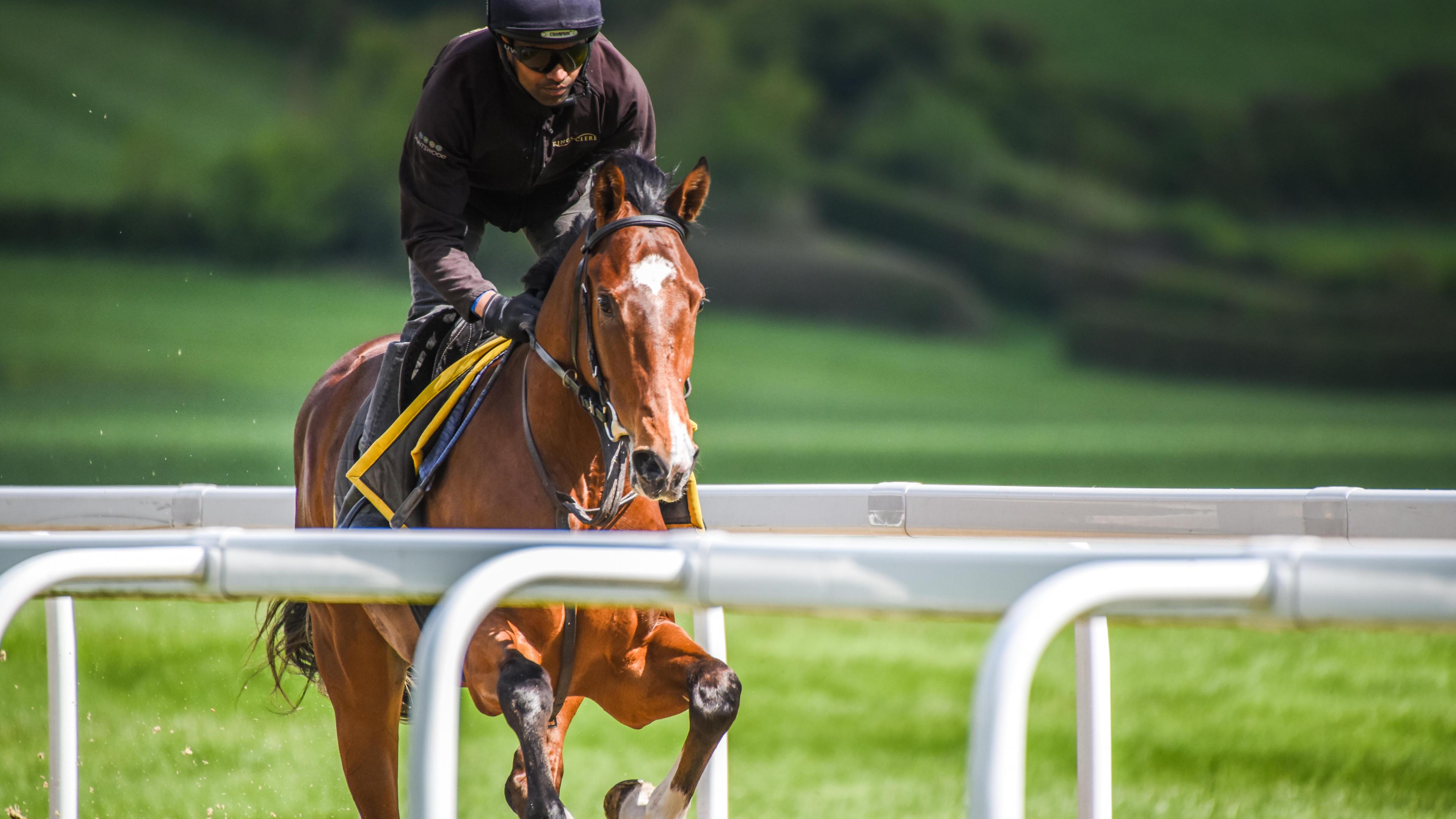 How to train a racehorse Square Mile