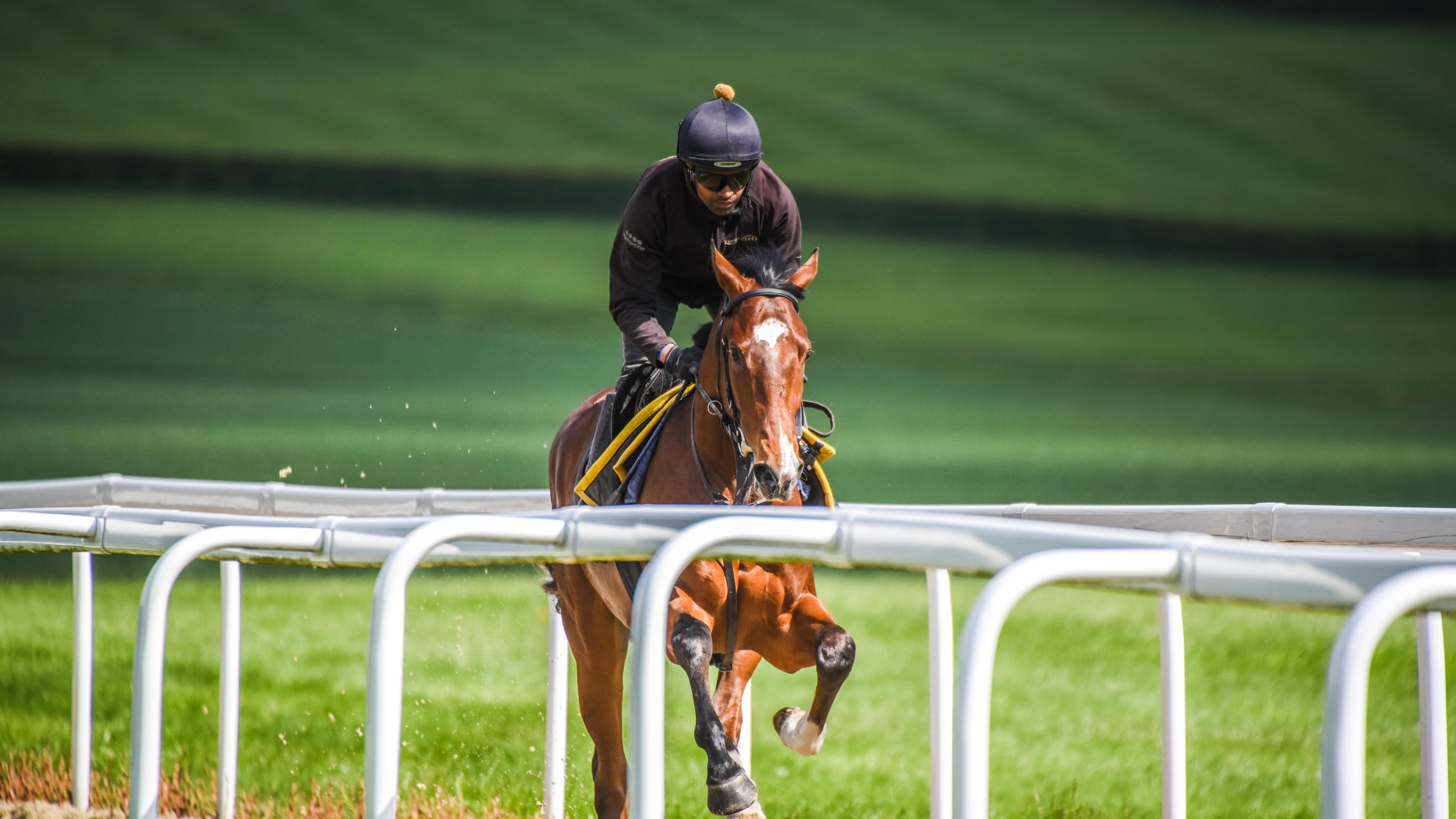 How to train a racehorse Square Mile