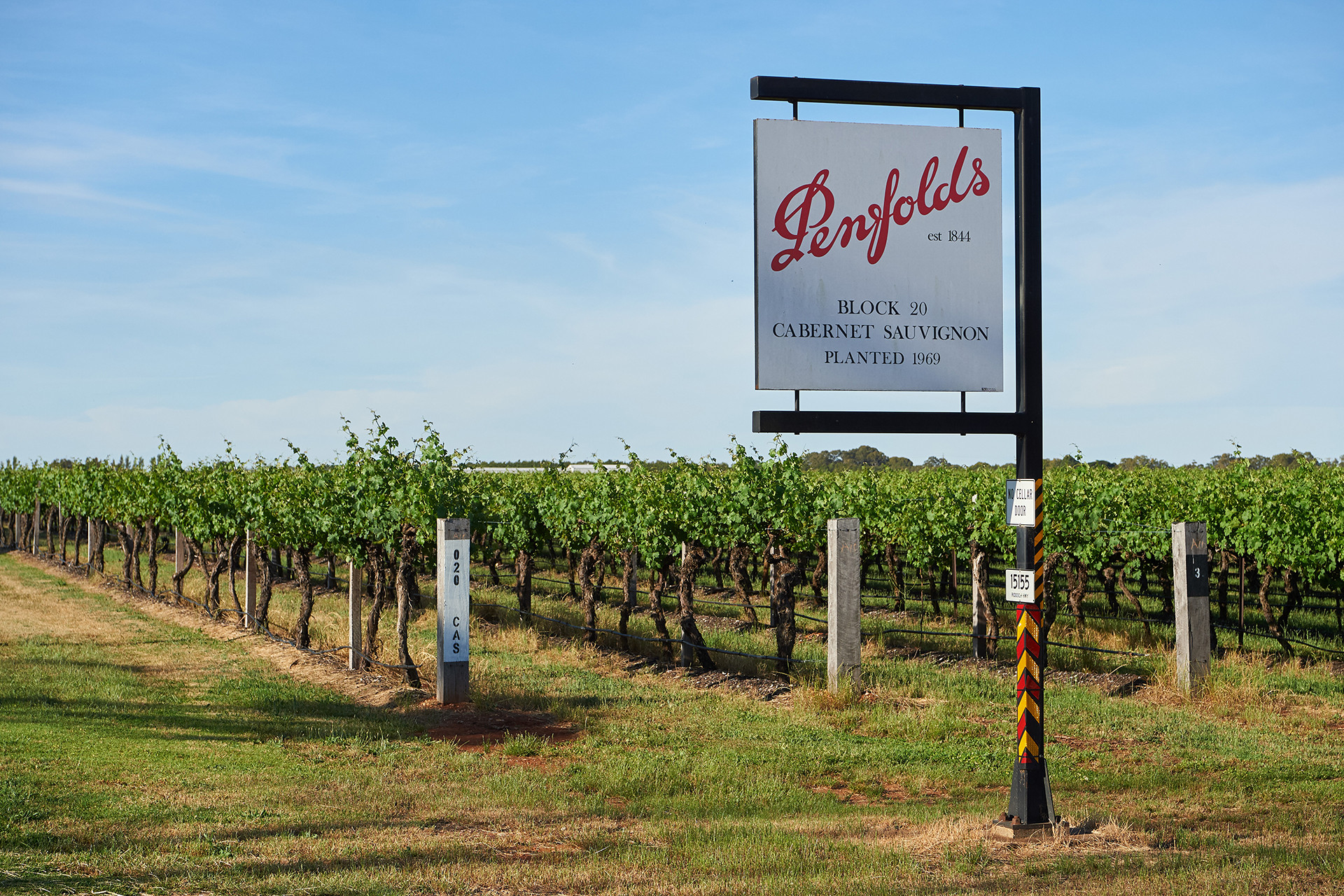 Best Australian Wine Penfolds at Joseph Forrest blog